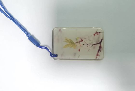 ISO14443A RFID NFC Tags 13.56Mhz NFC Epoxy Tag For Access Control System